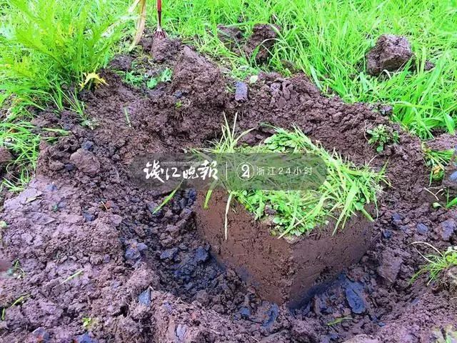 土地缺硒可以怎么补(中国土地缺硒)-硒宝网