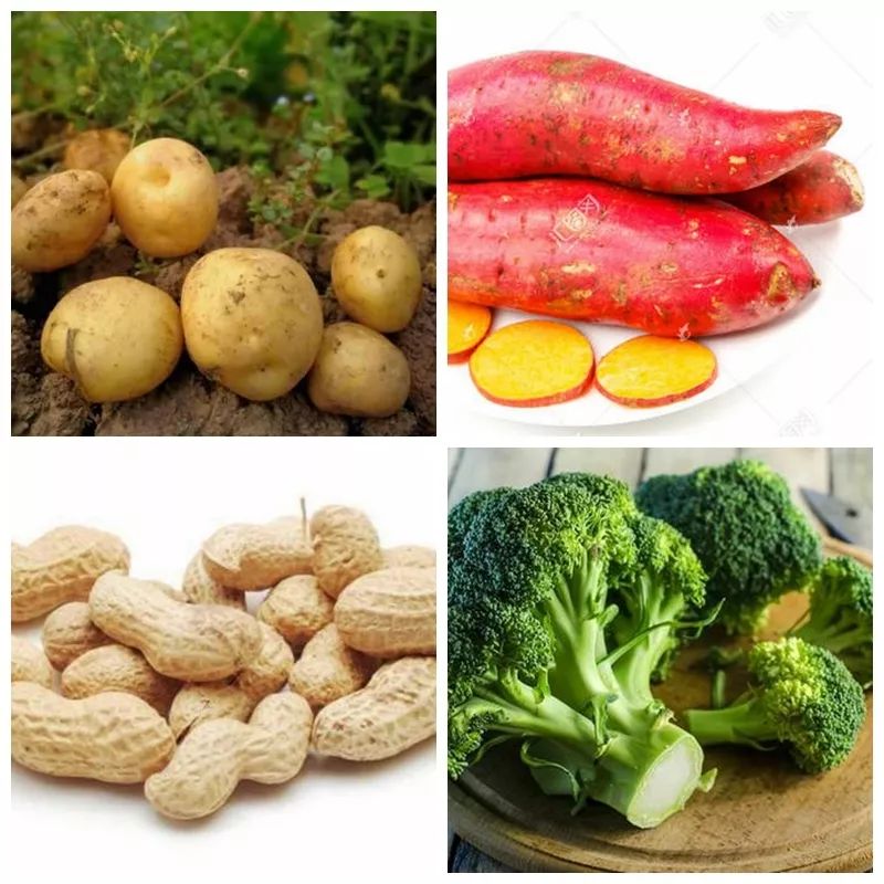 土地缺硒可以怎么补(中国土地缺硒)-硒宝网