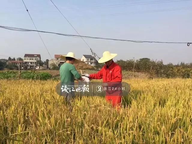 土地缺硒可以怎么补(中国土地缺硒)-硒宝网