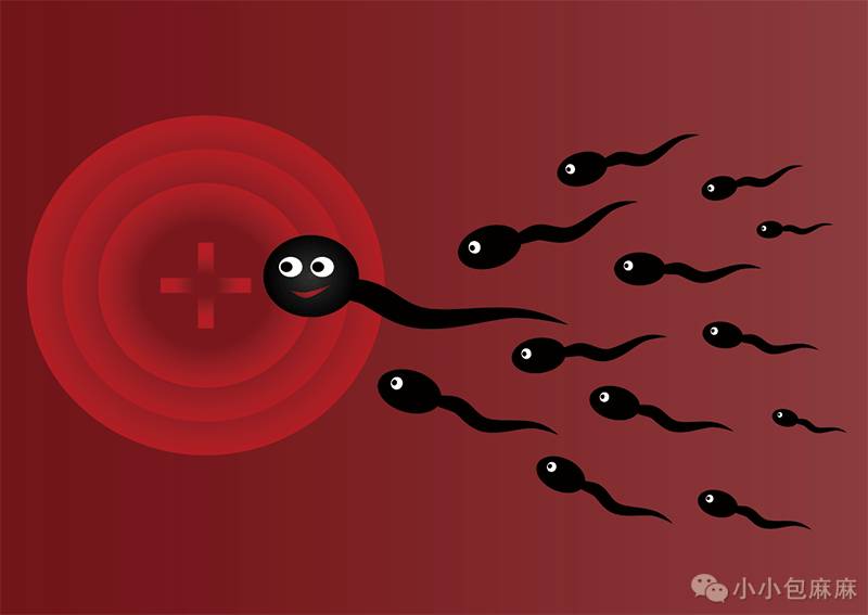 母?；吃泻蠛问辈刮ɑ吃心概？梢圆刮穑?硒宝网