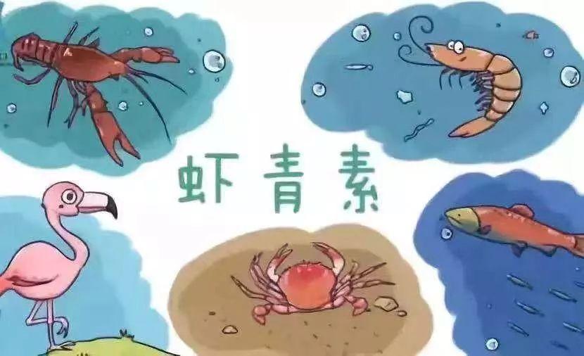 英国补硒元素是什么(硒元素的作用和补硒的好处)-硒宝网