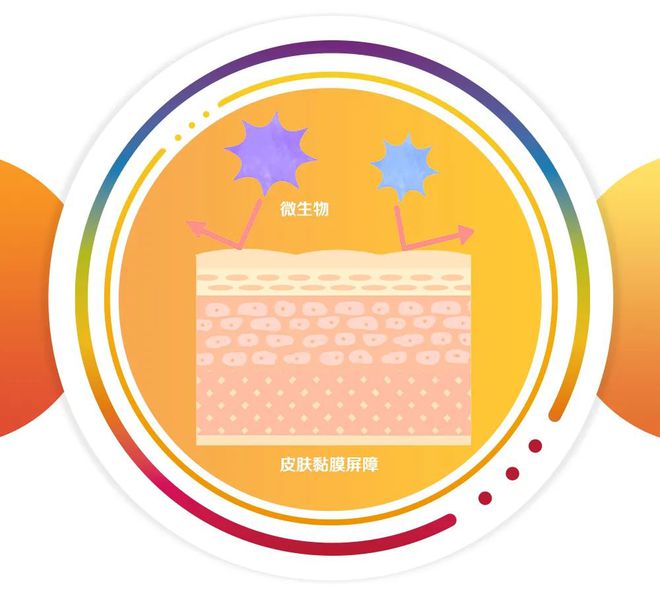 怎么补充微量元素(微量元素的补充)-硒宝网