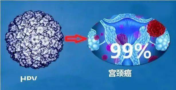 月经可以补硒吗女性（补硒月经量会不会增加）-硒宝网