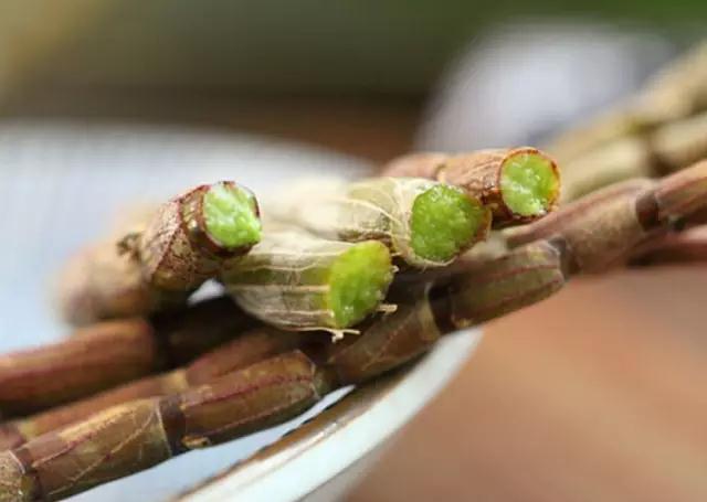 硒是中药可以怎么补（硒是中药还是西药）-硒宝网