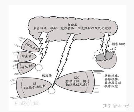 硒是中药可以怎么补（药用补硒）-硒宝网