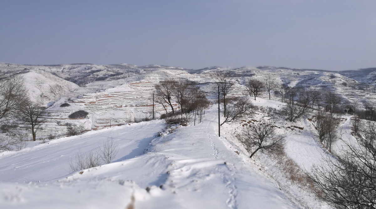 微量元素缺乏怎么补充(缺乏微量元素需要补什么)-硒宝网