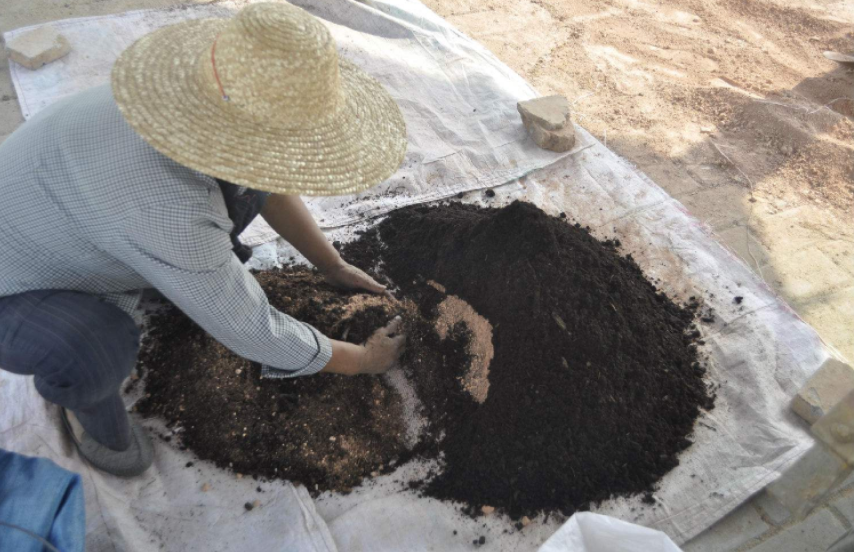 微量元素缺乏怎么补充(缺乏微量元素需要补什么)-硒宝网