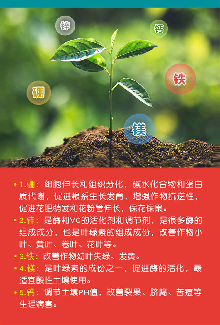 微量元素肥(微量元素肥料的作用)-硒宝网