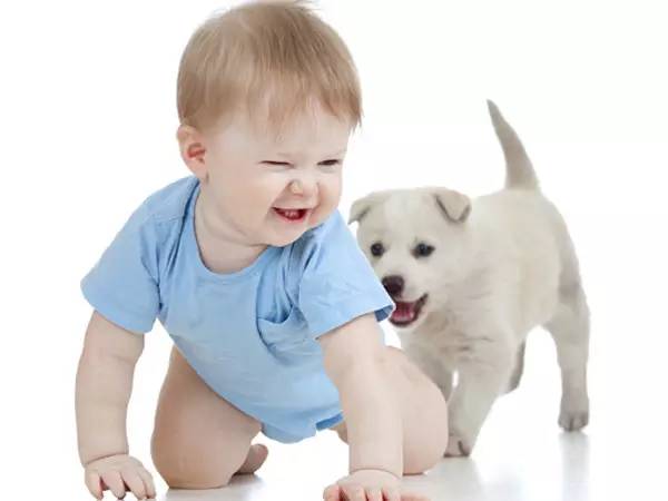 怎么查小孩缺什么微量元素（缺查微量小孩元素怎么查）-硒宝网