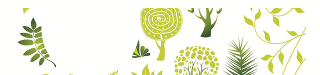 补硒有机植物有哪些（补充植物硒有什么功效）-硒宝网