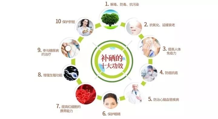 补硒有机植物有哪些（补充植物硒有什么功效）-硒宝网