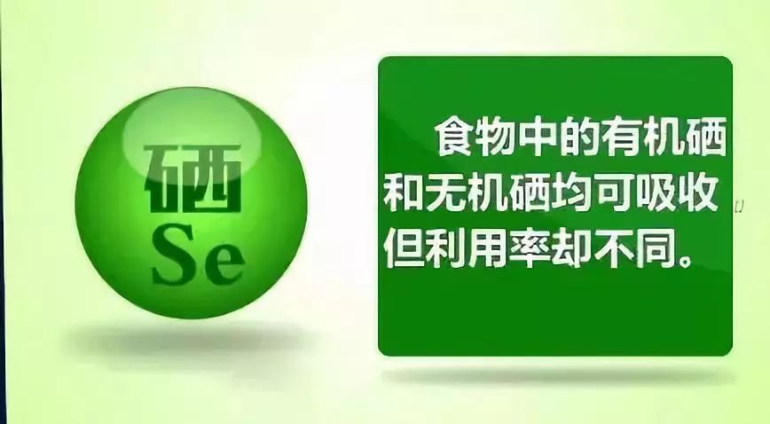 补硒有机植物有哪些（补充植物硒有什么功效）-硒宝网