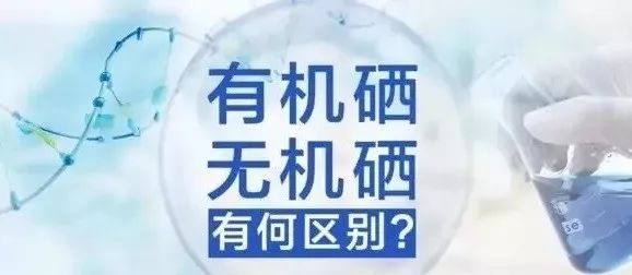 补硒有机植物有哪些（补充植物硒有什么功效）-硒宝网