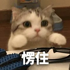 缺乏微量元素怎么补(缺少微量元素)-硒宝网