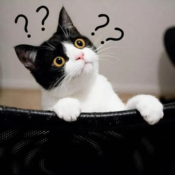 缺乏微量元素怎么补(缺少微量元素)-硒宝网