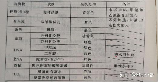 微量元素包括哪些(微量元素包括维生素吗)-硒宝网