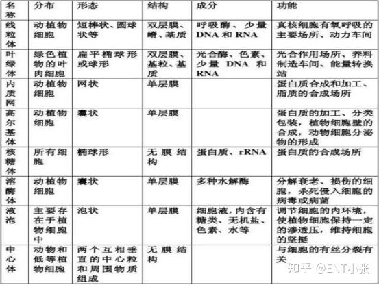 微量元素包括哪些(微量元素包括维生素吗)-硒宝网