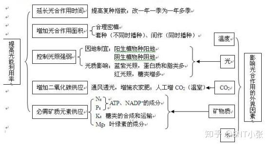 微量元素包括哪些(微量元素包括维生素吗)-硒宝网