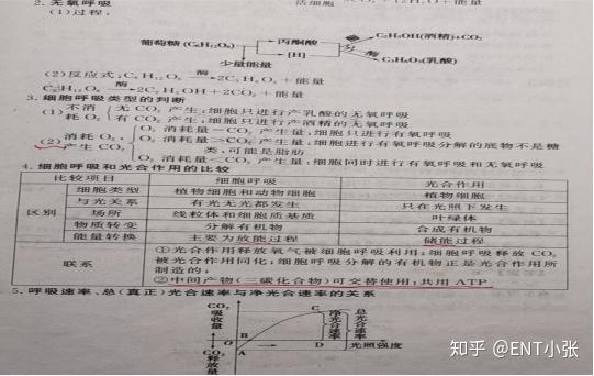 微量元素包括哪些(微量元素包括维生素吗)-硒宝网