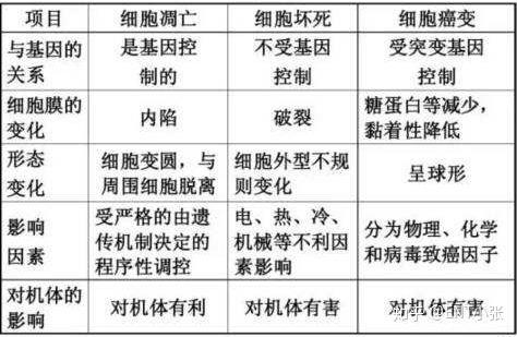 微量元素包括哪些(微量元素包括维生素吗)-硒宝网