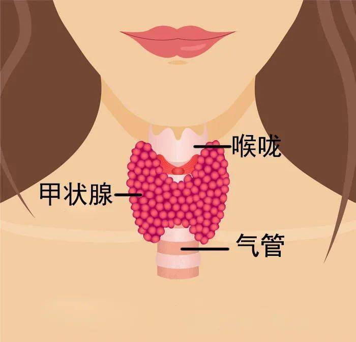 人体微量元素（人体微量元素缺乏有什么症状）-硒宝网