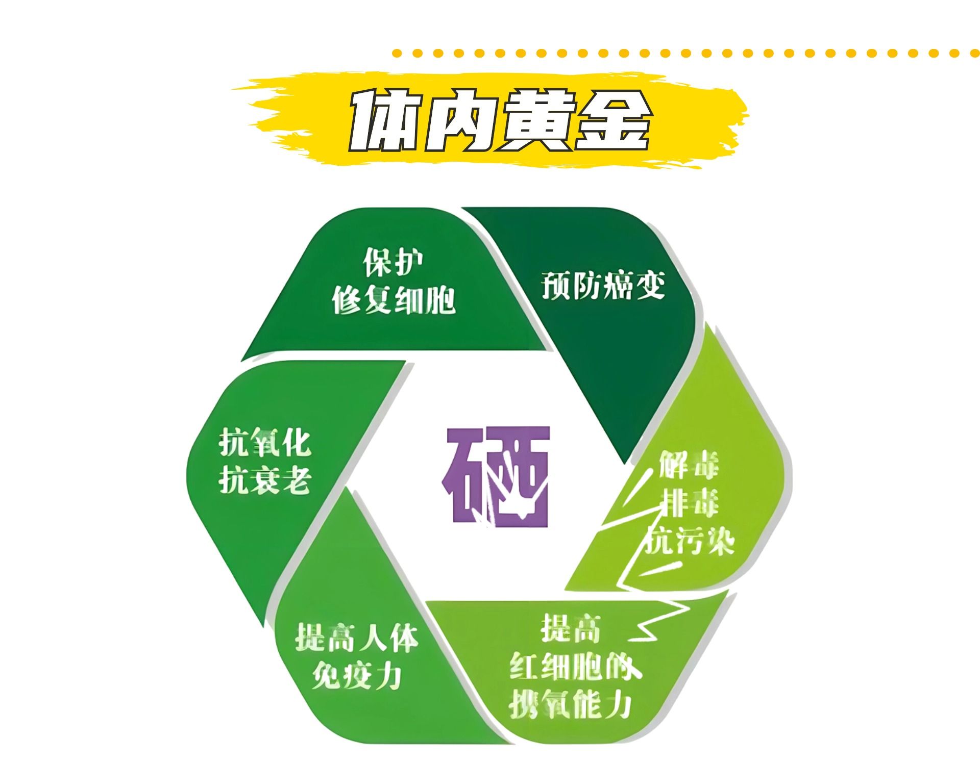 最好的补硒食物排名（补硒最好的食物有哪些）-硒宝网