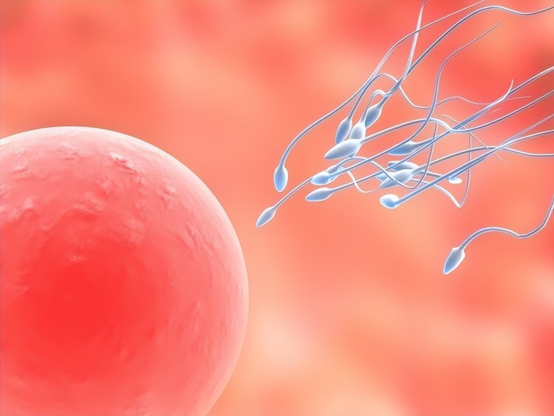 补硒与男性生殖健康（补硒与男性生殖健康）-硒宝网