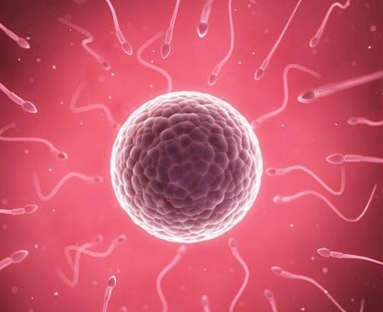 补硒与男性生殖健康（补硒与男性生殖健康）-硒宝网