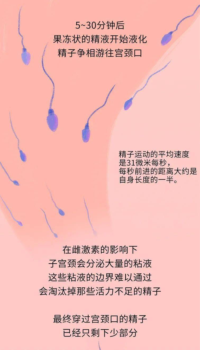 补硒与男性生殖健康（补硒与男性生殖健康）-硒宝网