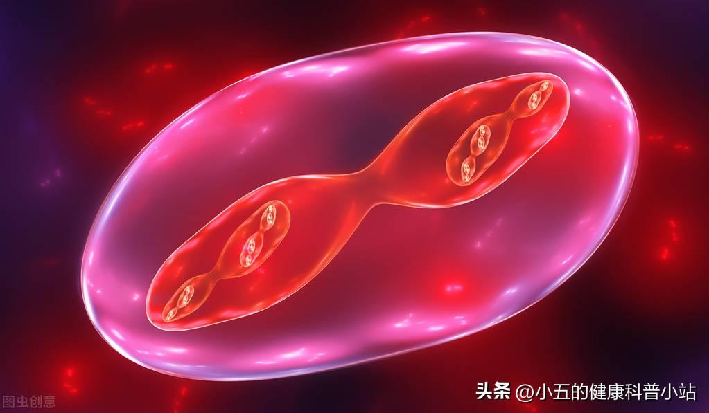 人体所需的微量元素有哪些(人体微量元素需有几种)-硒宝网