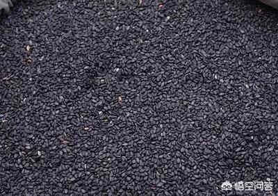 老年人补叶酸还是硒（补叶酸老年硒人吃多久）-硒宝网