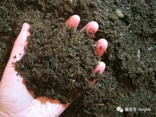 微量元素食物(食物微量元素)-硒宝网