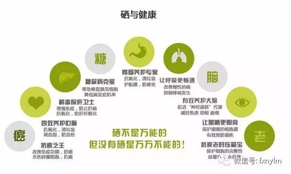 微量元素食物(食物微量元素)-硒宝网