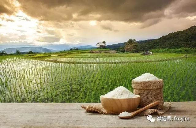 微量元素食物(食物微量元素)-硒宝网