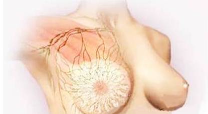 14岁能补麦芽硒吗(补麦芽硒会发胖吗)-硒宝网