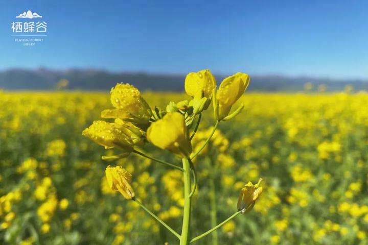 肝不好要补什么硒好（补硒治愈了我的肝?。?硒宝网