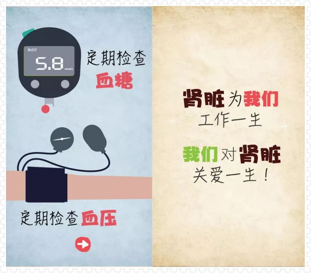 肾脏病人可以补硒吗(硒可以补肾吗)-硒宝网