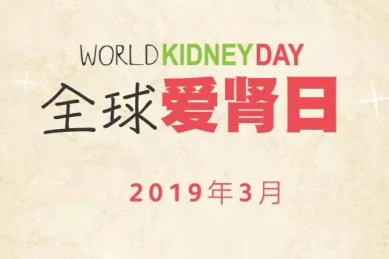 肾脏病人可以补硒吗(硒可以补肾吗)-硒宝网