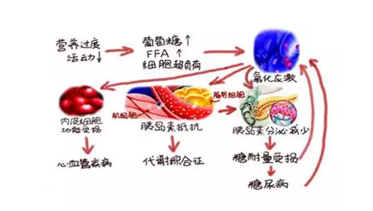 糖尿病需要补硒多久(糖尿病补硒有什么好处)-硒宝网