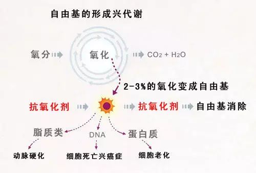 补硒对高血压的原理（补硒对高血压的好处）-硒宝网
