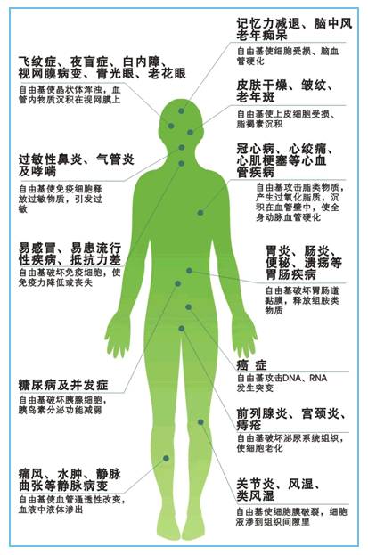 补硒对高血压的原理（补硒对高血压的好处）-硒宝网