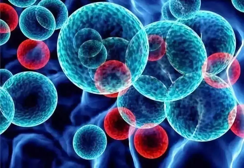 肾脏病人可以补硒吗（补硒对肾病有作用吗）-硒宝网