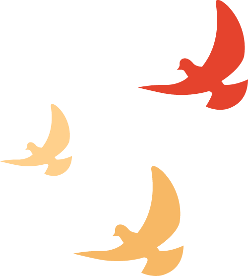 补硒的药可以代替吗（代替药补硒可以长高吗）-硒宝网