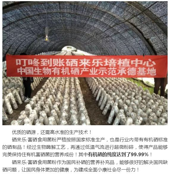 补硒的药可以代替吗(硒可以随意补吗)-硒宝网