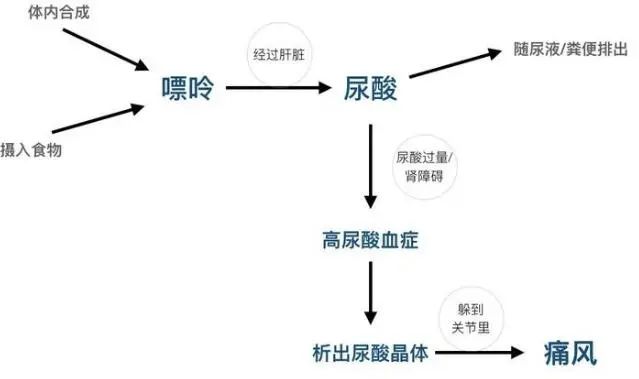补硒会导致尿酸高吗（补尿酸导致高硒会降低吗）-硒宝网