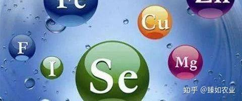 补硒会导致肝硬化吗（肝硬化患者缺硒吗）-硒宝网