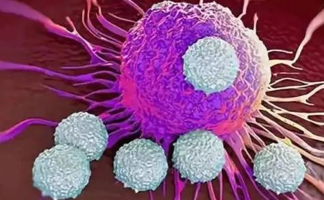 补硒吃大蒜是生吃吗(大蒜怎样吃补硒)-硒宝网