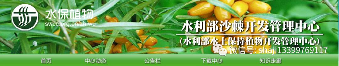 血小板高可以补硒吗(补硒对血小板有影响吗)-硒宝网