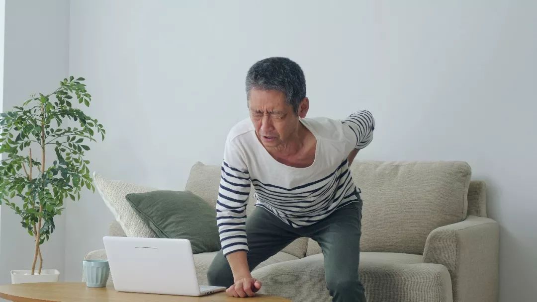 中老年人 补钙（补钙老年人中药有哪些）-硒宝网