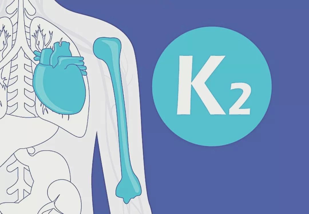 中老年人 补钙（补钙老年人中药有哪些）-硒宝网